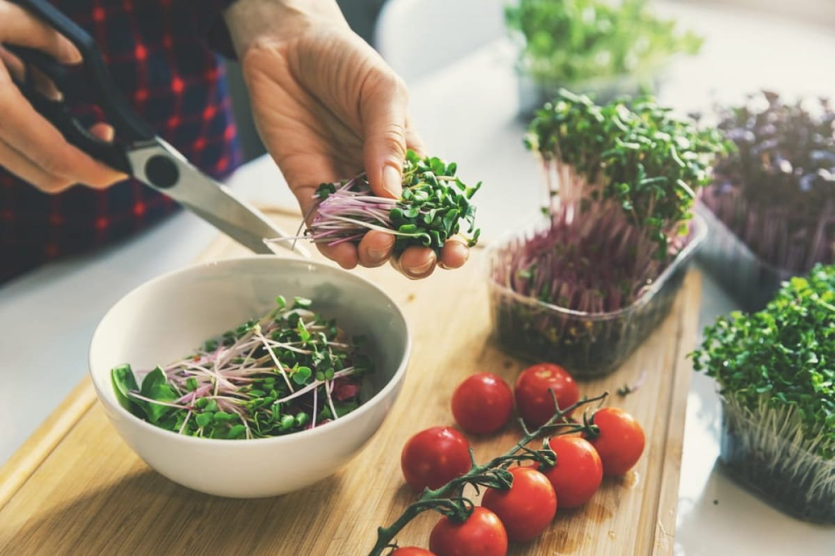 Healthy Eating and Microgreens: A Study of Perspectives
